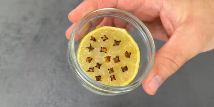 Nechápala jsem, proč má tchyně v lednici citron s hřebíčkem. Jde přitom o chytrý fígl, který by měl znát každý